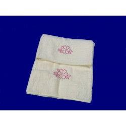 Coppia Spugna 1+1 Primula