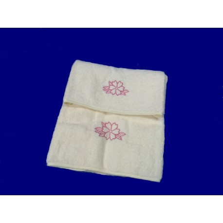 Coppia Spugna 1+1 Primula